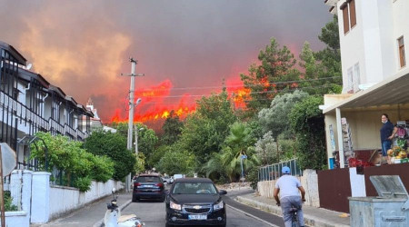Marmaris'te korkutan yangın
