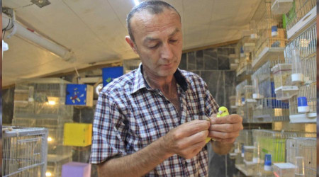 Alkol bağımlısıydı, muhabbet kuşu hayatını değiştirdi