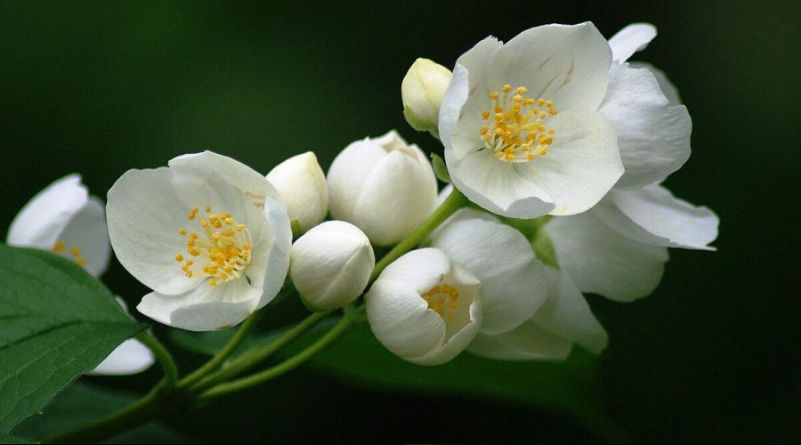 Allah, yery�z�n� h�ccetsiz b�rakmaz