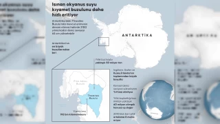 Amerikan kıyıları da su altında kalacak