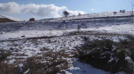 Başkent'te protokol yolunda bir erkek cesedi bulundu