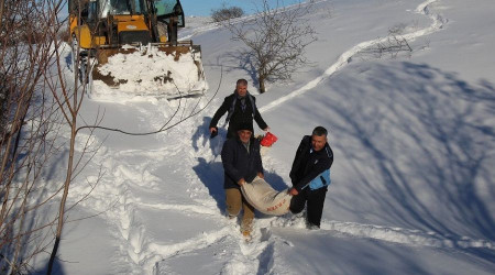 Battalgazi'de 'tavukları' telef olmaktan ekipler kurtardı