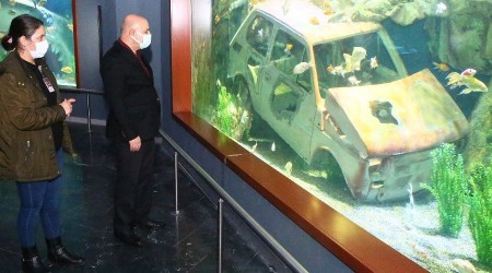 Deniz Dünyası'nda üretilen balıklar vatandaşa hediye edilecek