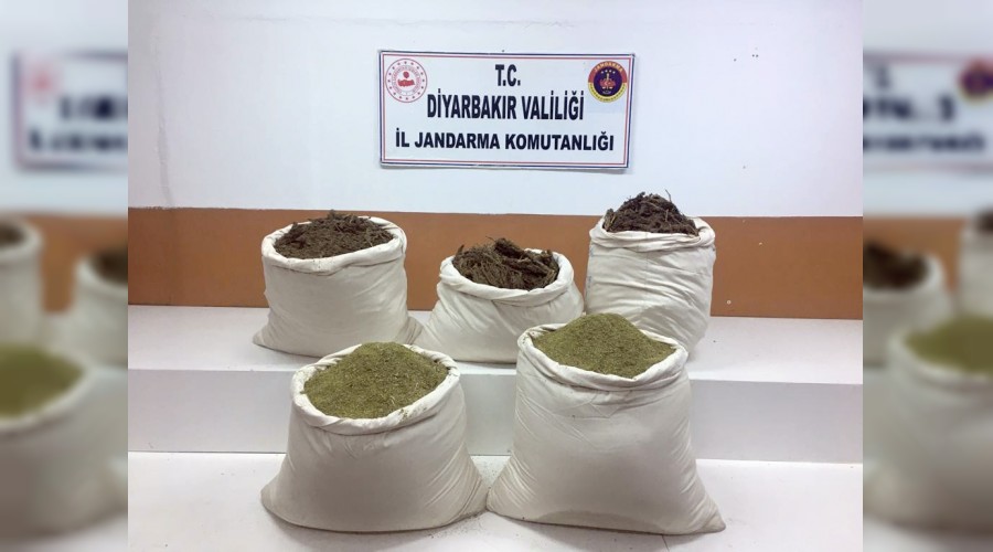 Esrarı samanların arasına zulalamışlar