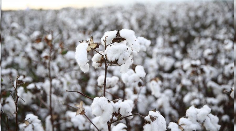 Hazır giyime ve tekstile zam kapıda