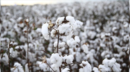 Hazır giyime ve tekstile zam kapıda