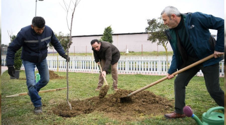 Herkes dalından yesin diye kiraz ve vişne ekildi