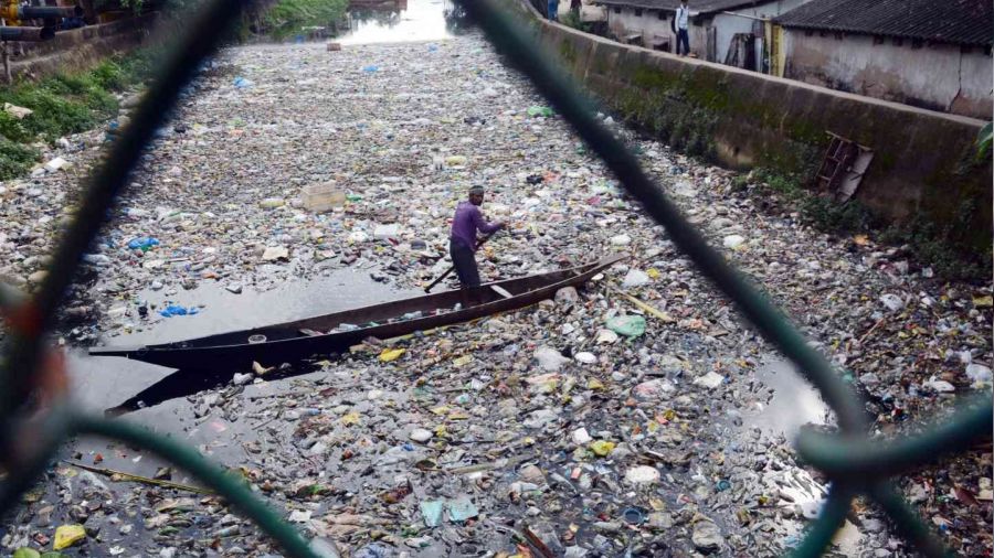 Hindistan'da tek kullanmlk plastik rnlere yasak
