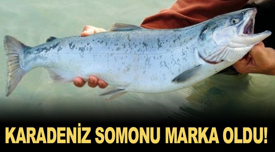 Karadeniz somonu Rusya'da marka oldu