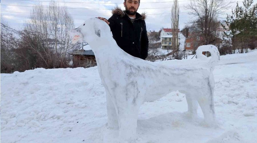 Kardan Kangal ilgi oda oldu