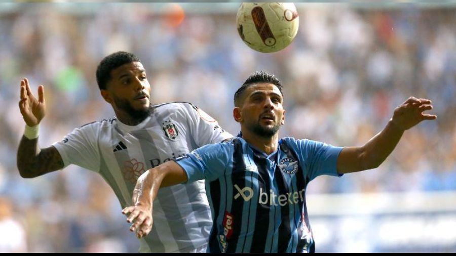 Kartal Adana'da a��r darbe ald� 