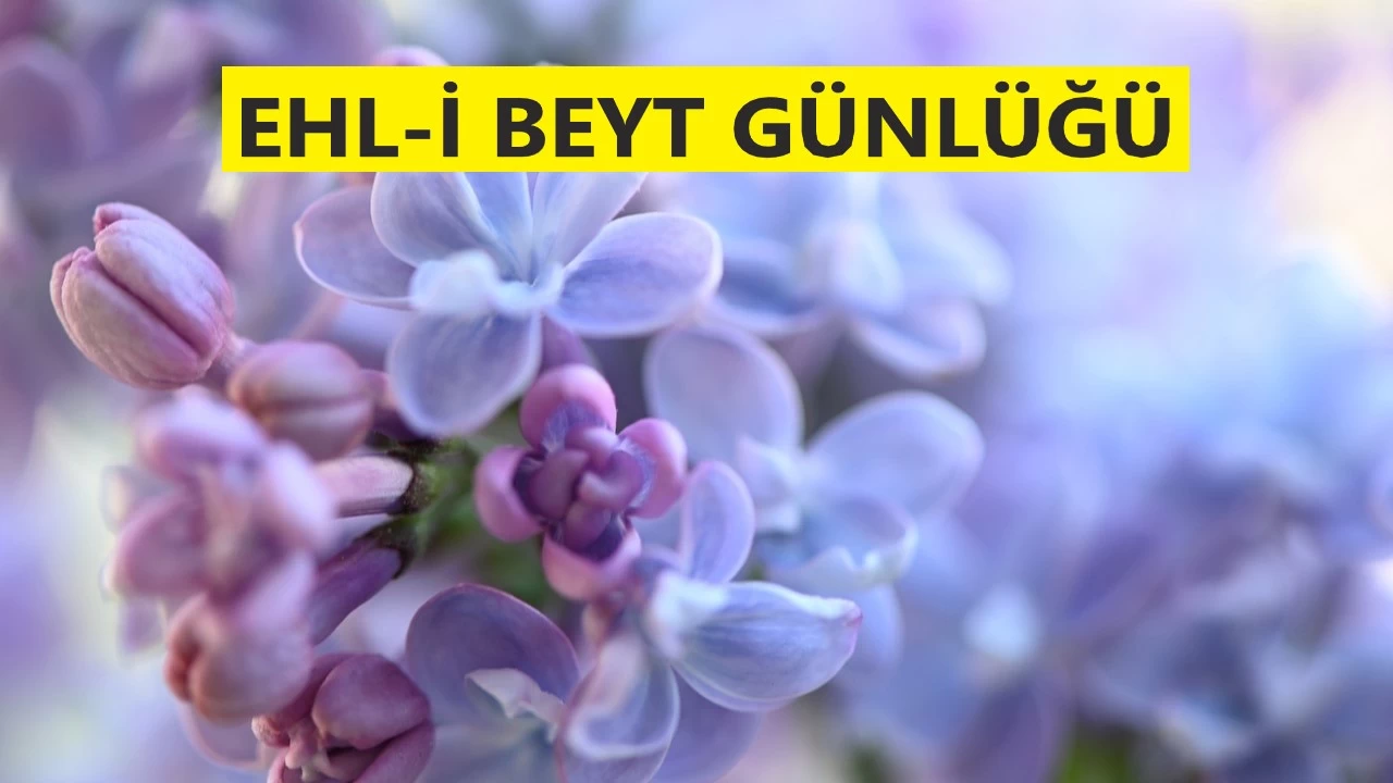 Kıyas ehli helake sürüklenir