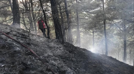 Manisa'da 30 dekar karaam orman yand