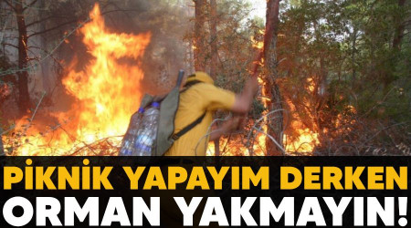 Piknik yapaym derken orman yakmayn!