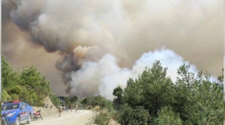 Samandağ'daki orman yangını büyüyor