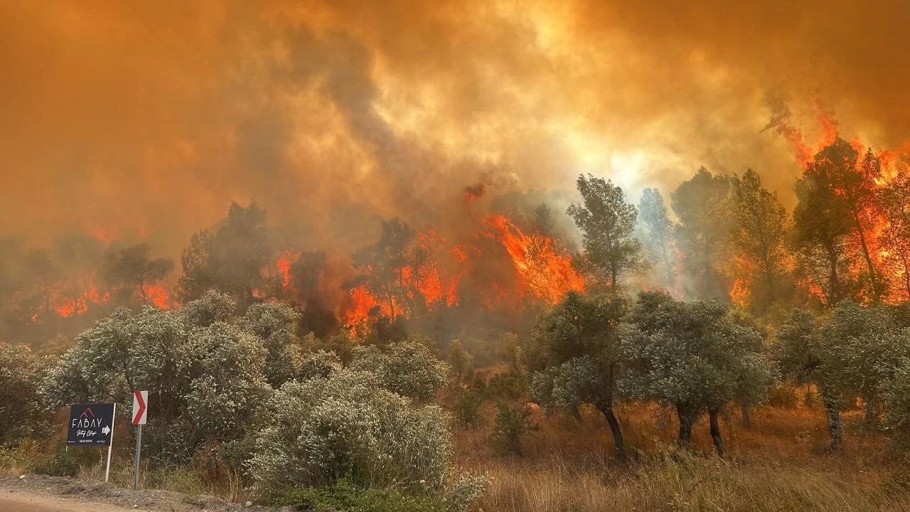 Sıcaklıklar artıyor, ormanlarımıza dikkat!