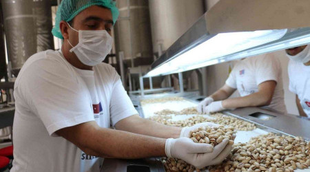 Siirt fıstığı dünyanın en iyi lezzetleri arasına girdi