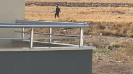 Tavuklarna zarar verdiini iddia ettii sokak kpeklerini vurdu