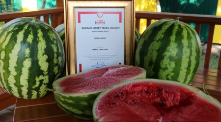 Tescilli Adana karpuzu ekonomiye katkı sağlayacak