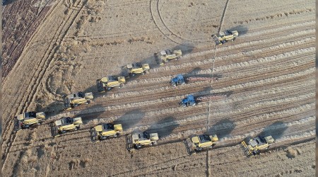 TİGEM'in buğdayına yurt dışı ilgisi