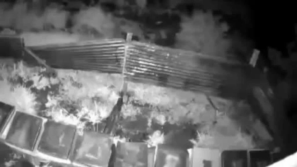 Uykudan kalkan ay� solu�u kovanlar�n yan�nda ald�