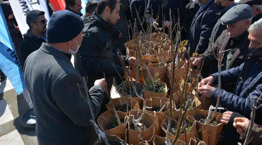 10 bin fidan toprakla bulu�tu