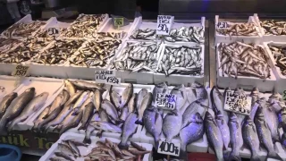 Balık çok alan yok