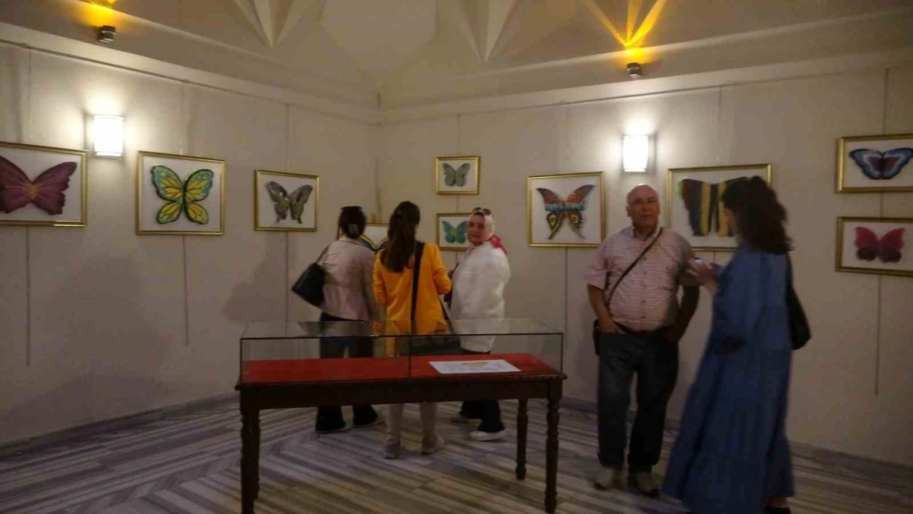 Benzersiz Kelebekler'e ziyaret�i ak�n�