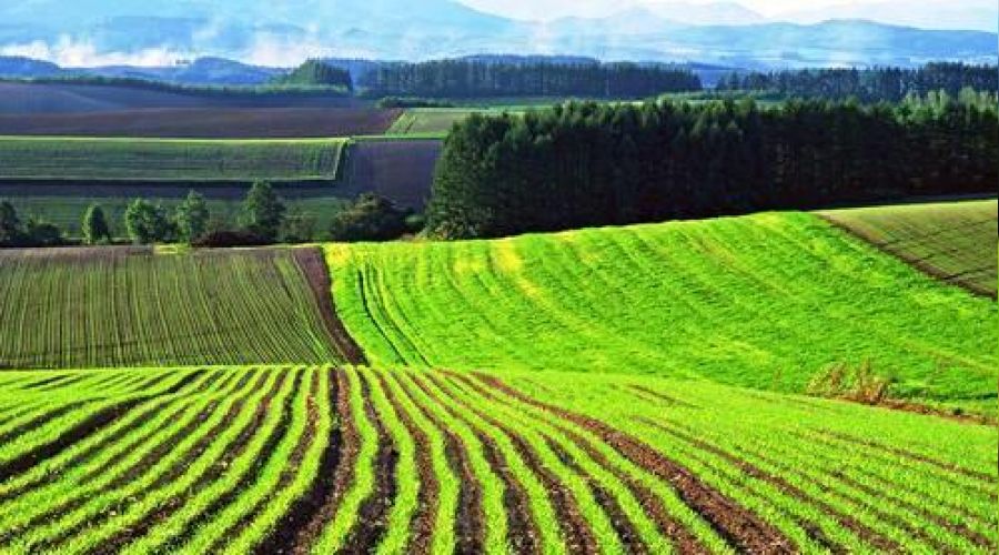 Bolu Gerede'de mahkemeden sat�l�k arsa