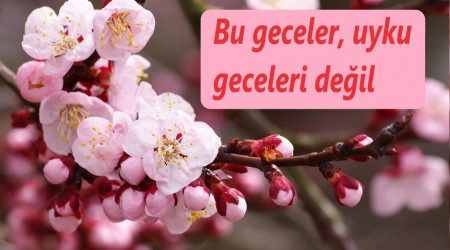 Bu geceler, uyku geceleri değil