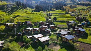 Bu k�ydeki evlerin tamam� ah�ap 
