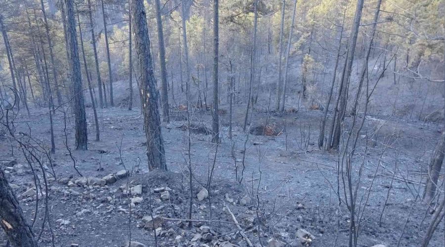 Bursa'daki orman yangını 18 saat sonra kontrol altına alındı