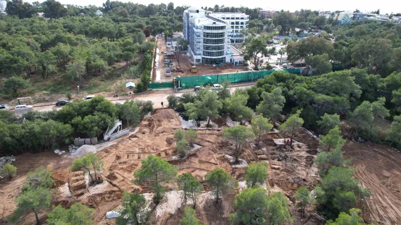 Çam ağaçlarını kesen 5 yıldızlı otel için suç duyurusu
