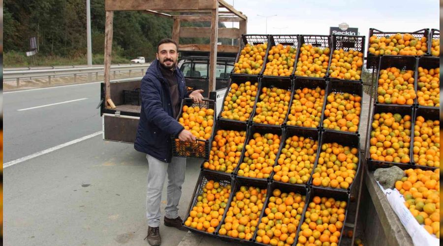 Derepazar� mandalinas� tezgaha indi