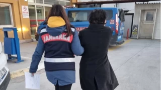 DHKP-C operasyonu: 30 gözaltı