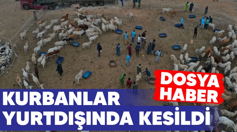   DOSYA HABER - Kurbanlar yurtd���nda kesildi