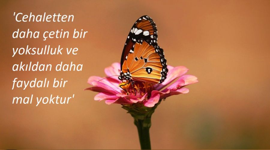 En çetin yoksulluk cehalettir
