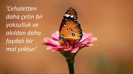 En çetin yoksulluk cehalettir