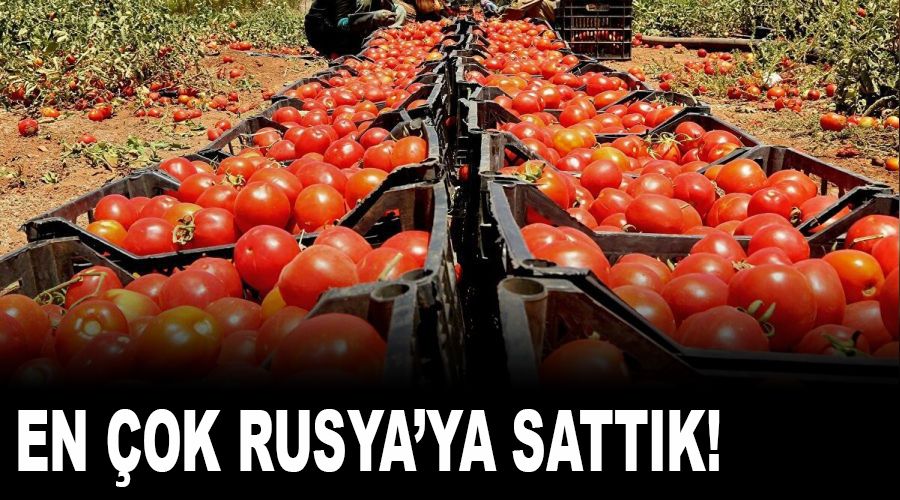 En çok domatesi Rusya'ya sattık