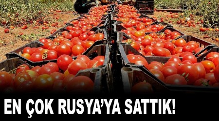 En çok domatesi Rusya'ya sattık