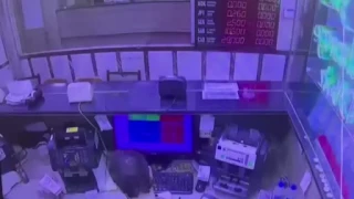 Fatih'teki silahl� d�viz b�rosu soygunu kamerada