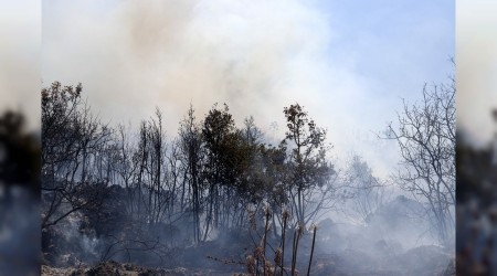 Fethiye'de çıkan yangın çabuk söndürüldü