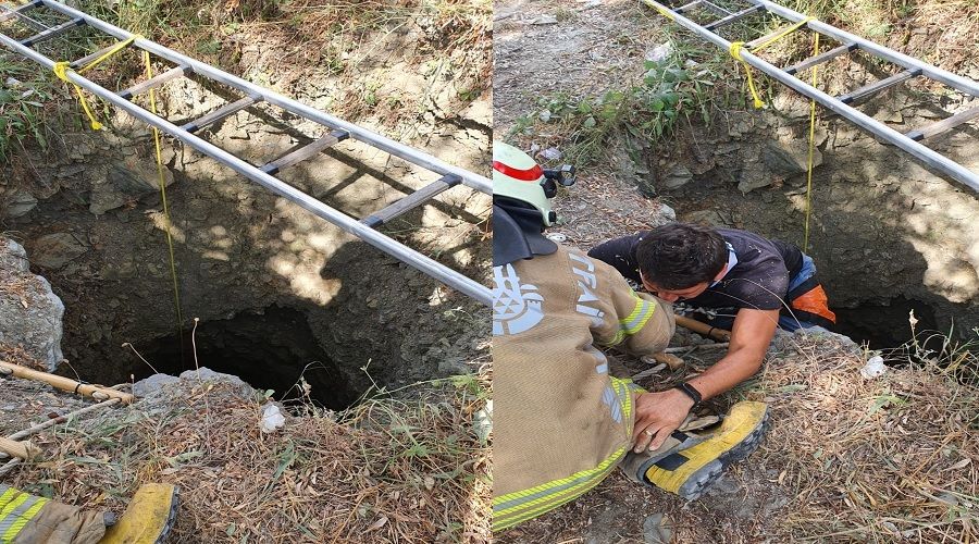 Fotoğraf çektirirken definecilerin kazdığı çukura düştü