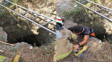 Fotoğraf çektirirken definecilerin kazdığı çukura düştü