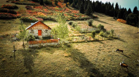 Giresun yaylalarındaki sonbahar güzelliği dron ile görüntülendi