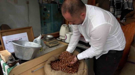 Giresun'da fındık fiyatları stabil hale gelmeye başladı