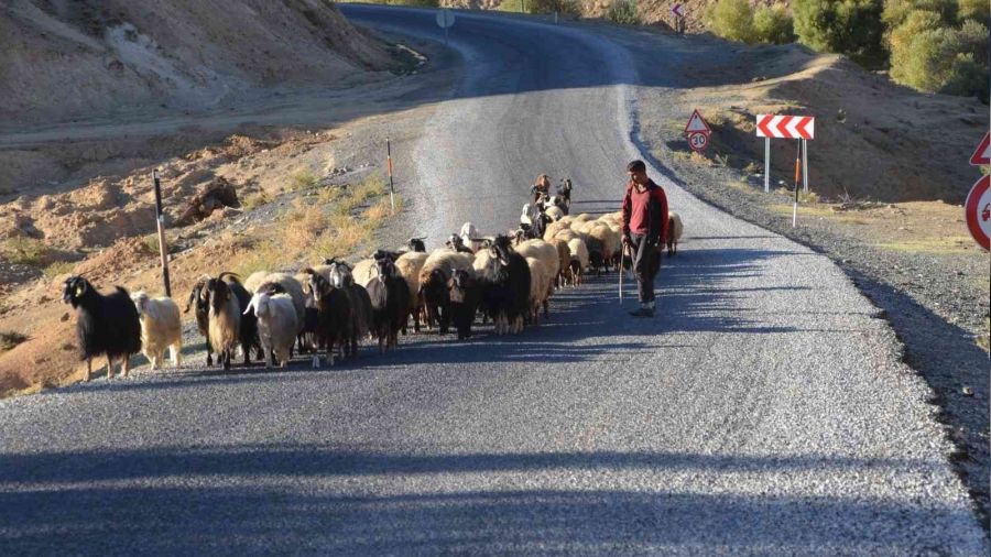 Göçerler sıcak bölgelere göç ediyor