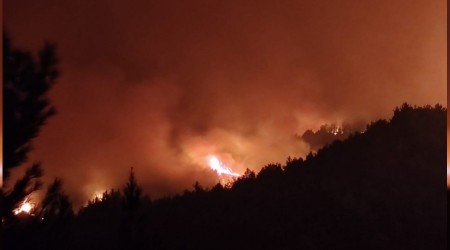 Hatay'da yangn tekrar alevlendi