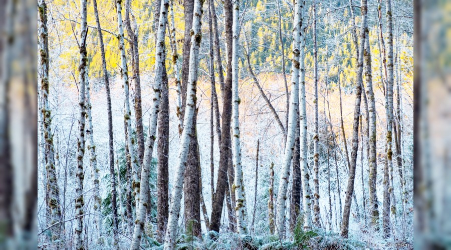 ��taati, dinin d�zeni i�in farz k�ld��