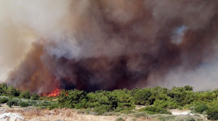 zmir'de yangna direnli yeil rt iin 'orman seferberlii' balatlyor